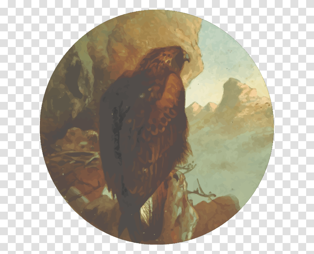 Eaglefaunafeathered Favourites British Birds Red Tailed Hawk, Painting, Animal, Portrait Transparent Png