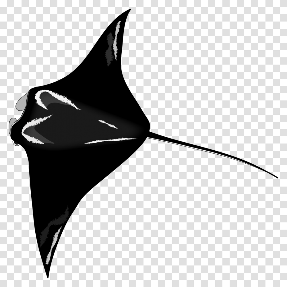 Eagleray Sharks And Rays Icon, Photography, Portrait, Sport, Leisure Activities Transparent Png