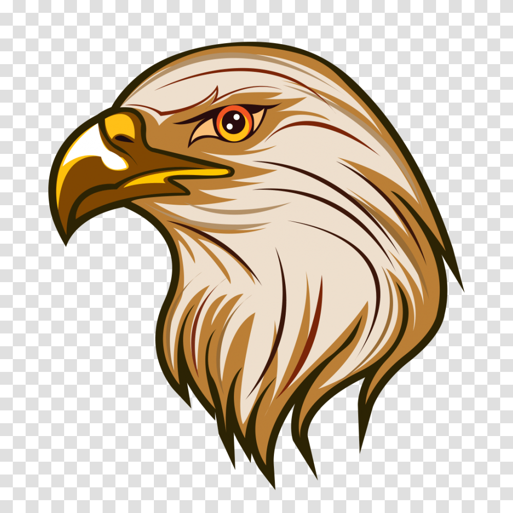 Eagles Clipart Bird Free For Eagle Clip Arts, Animal, Hawk, Bald Eagle, Beak Transparent Png