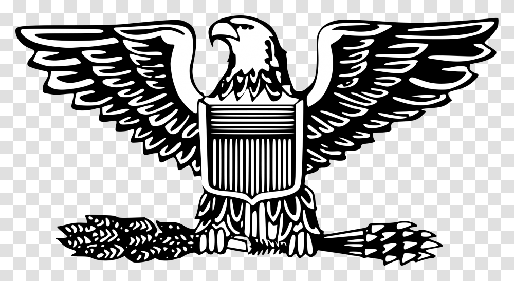 Eagles Clipart Hawk Air Force Colonel Insignia, Emblem, Bird, Animal Transparent Png