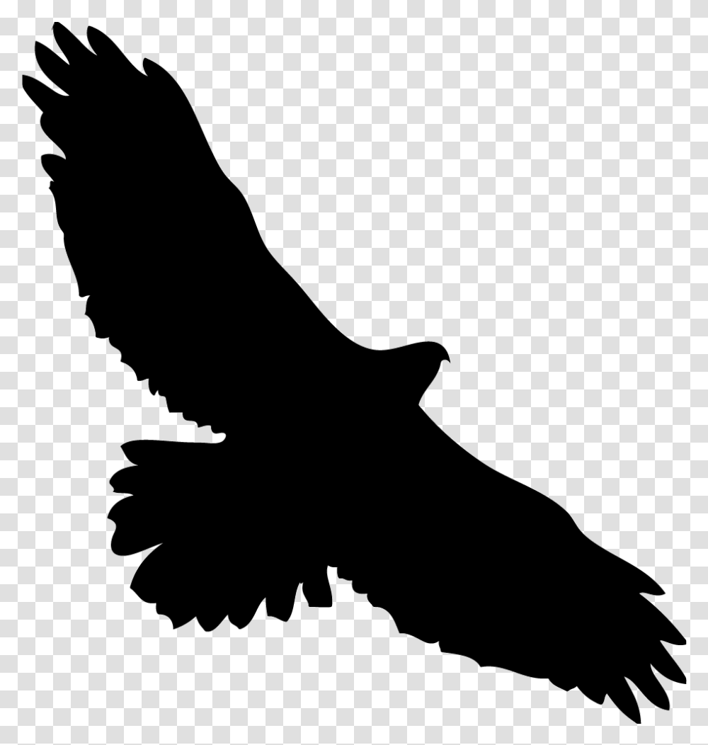 Eagles Clipart Kite Bird Red Tailed Hawk Icon, Animal, Silhouette, Water, Sea Life Transparent Png