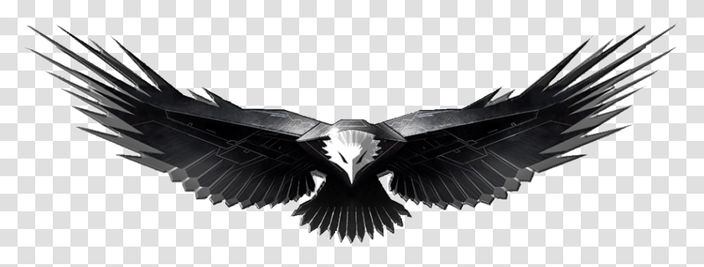 Eagles Design Five Isolated Background Eagle Hd, Bird, Animal, Vulture, Condor Transparent Png