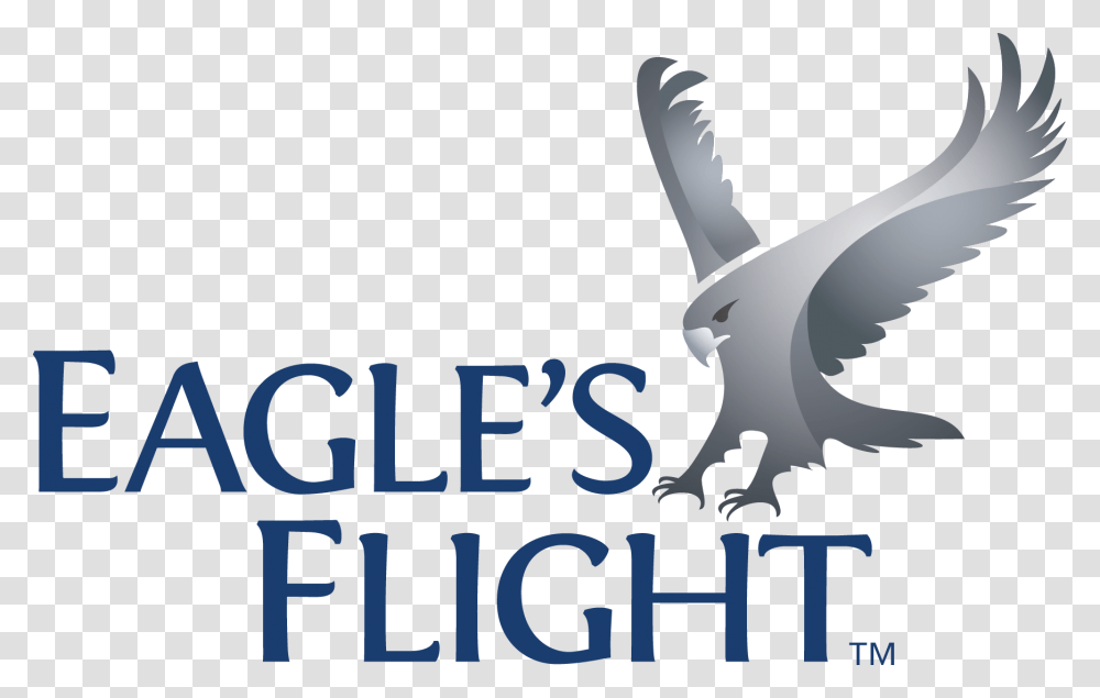 Eagles Flight Logo, Animal, Bird, Machine, Mammal Transparent Png