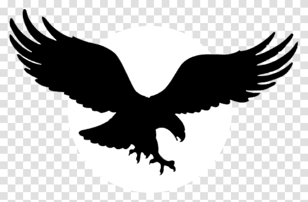 Eagles Logo, Bird, Animal, Silhouette, Stencil Transparent Png