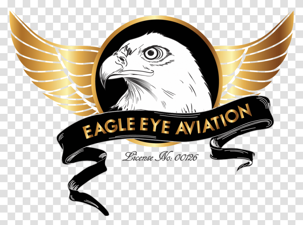 Eagles Logo Pictures Free Download Eagle Eye Logo, Bird, Animal, Hawk, Kite Bird Transparent Png
