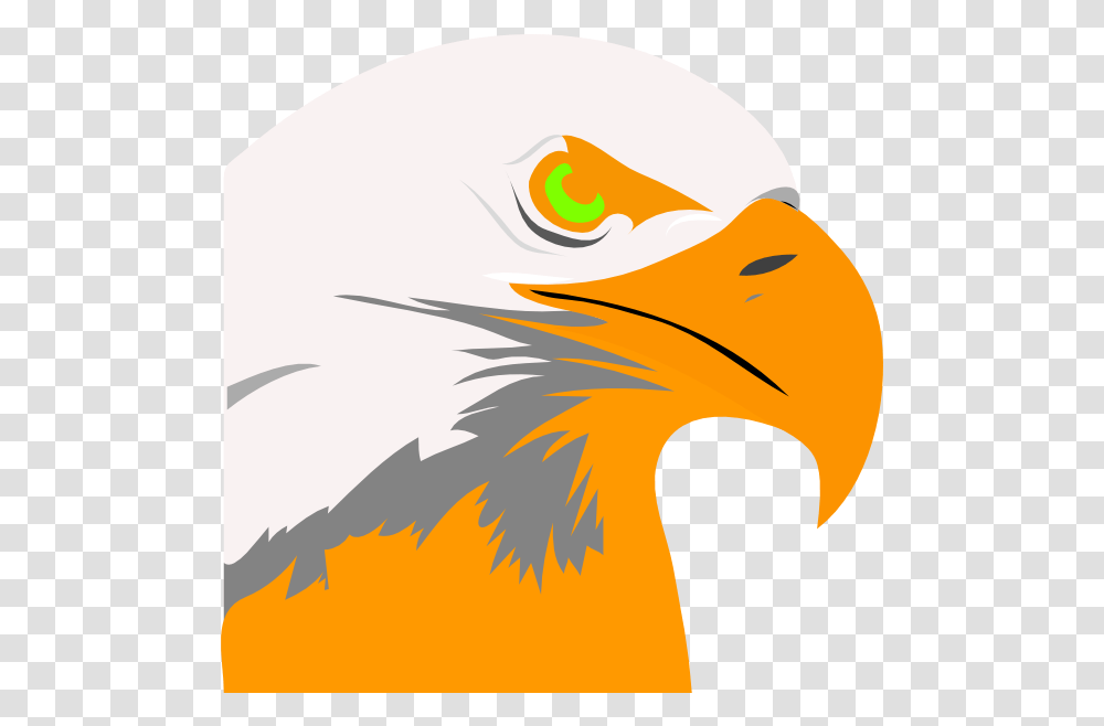Eagles Orange Eagle, Bird, Animal, Bald Eagle, Beak Transparent Png