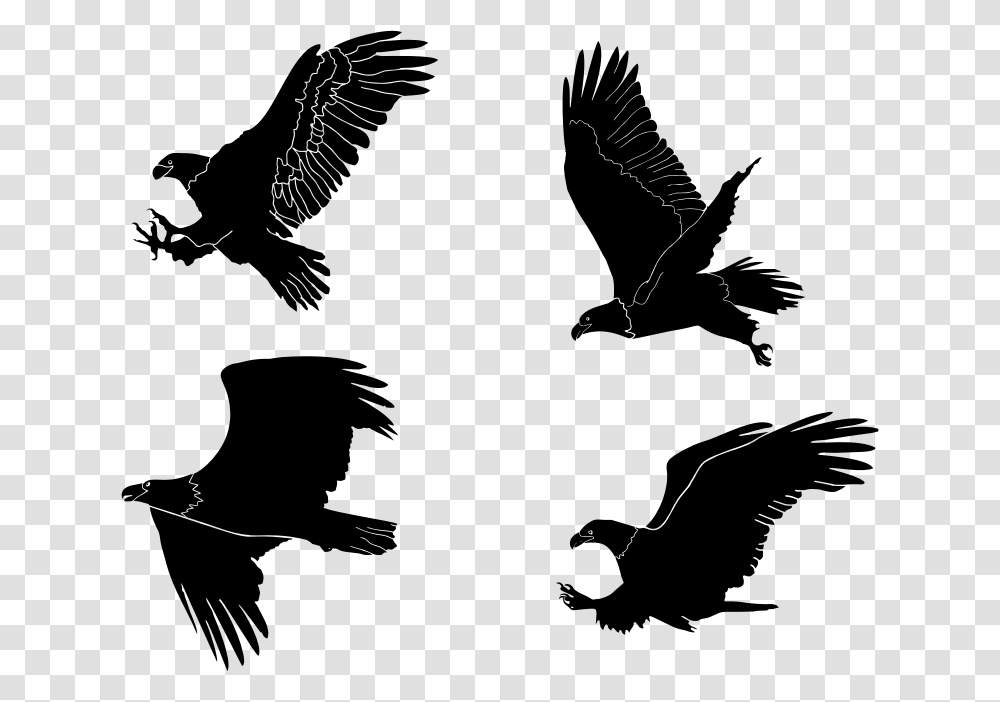 Eagles Silhouettes Set By Rajesh Misra Bald Eagle Silhouette, Gray, World Of Warcraft Transparent Png
