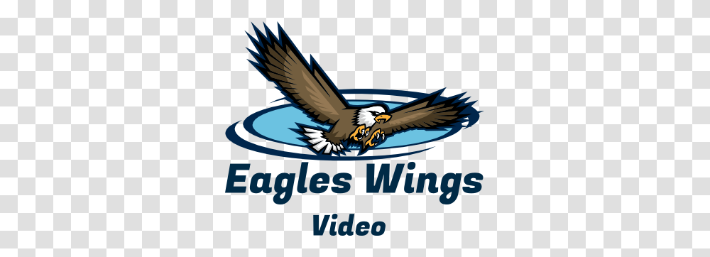 Eagles Wings Video, Bird, Animal, Bald Eagle, Airplane Transparent Png
