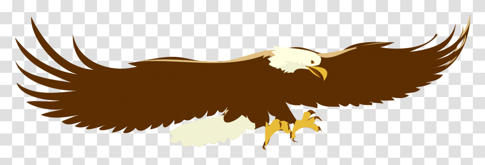 Eaglewildlifebald Eagle Soaring Eagle Clip Art, Bird, Animal, Vulture, Hand Transparent Png