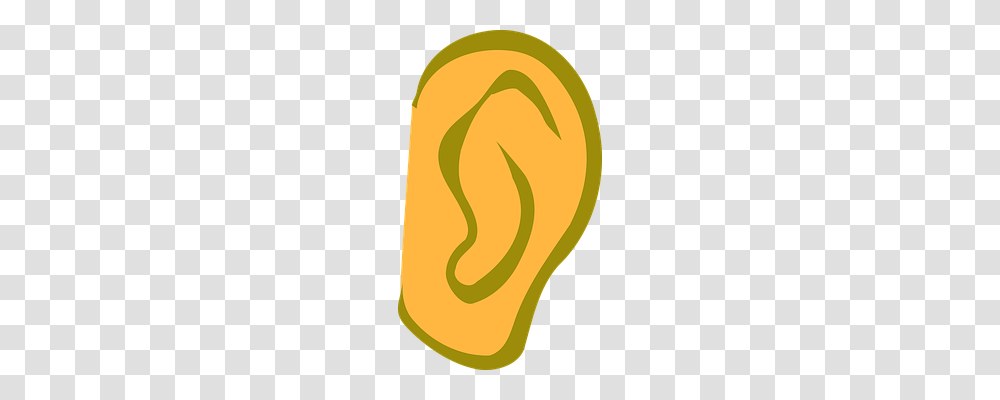 Ear Music, Plant, Food, Produce Transparent Png