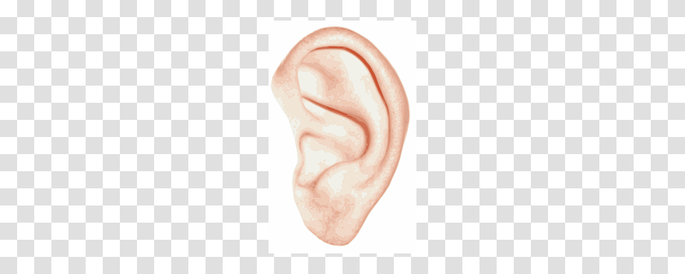 Ear Person, Human Transparent Png