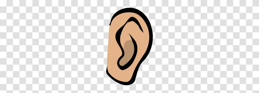 Ear Clip Art Transparent Png