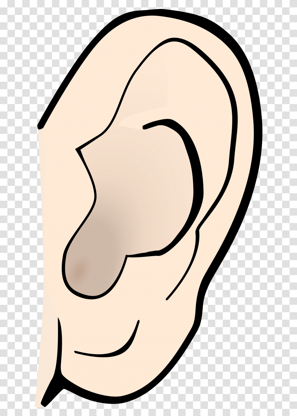 Ear Clipart Clip Art Free Borders Image, Label, Arm, Hand Transparent Png