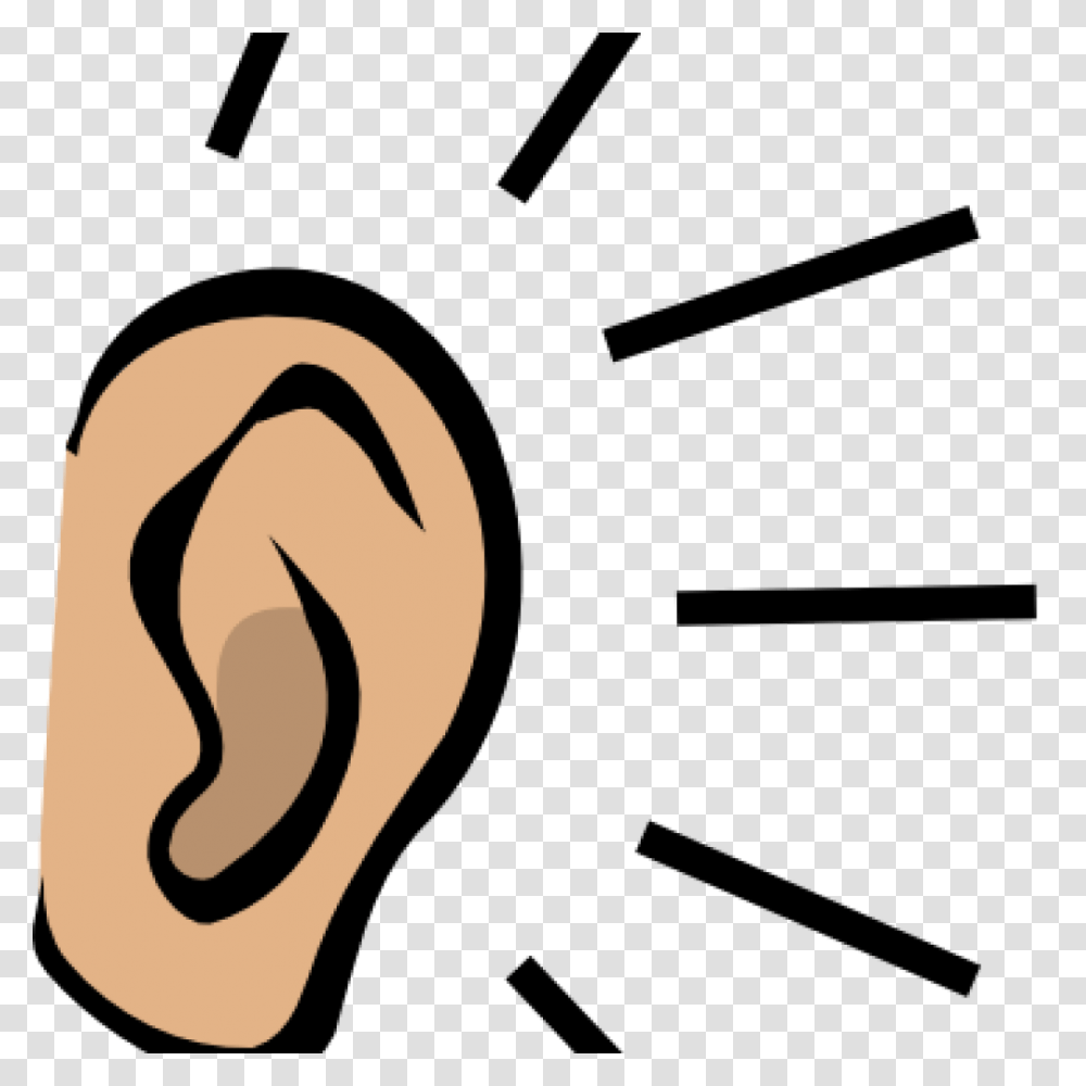 Ear Clipart Exam Transparent Png
