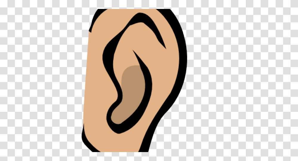 Ear Clipart Sense Hearing Free Clip Art Stock Illustrations Transparent Png