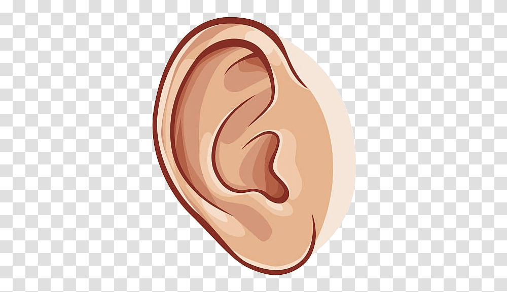 Ear Collection Of Images High Quality Free Awesome Clip Art Of Ear Transparent Png