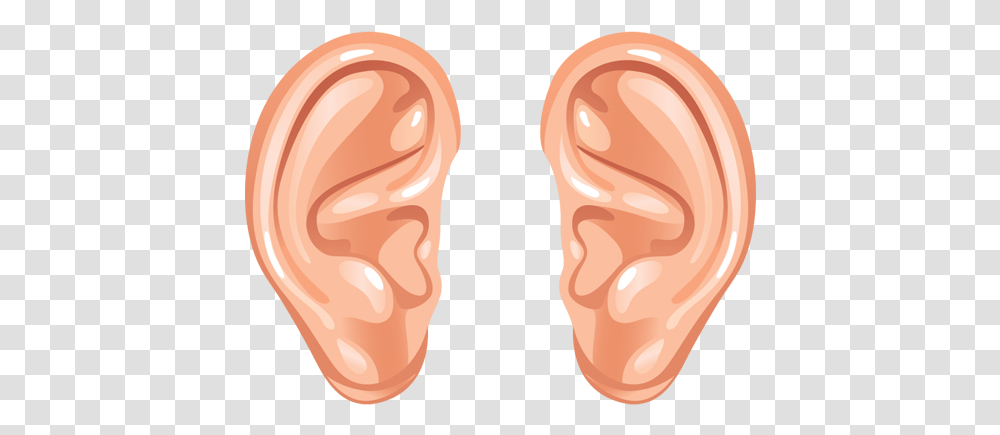 Ear Download Human Ear Ear Clip Art Transparent Png