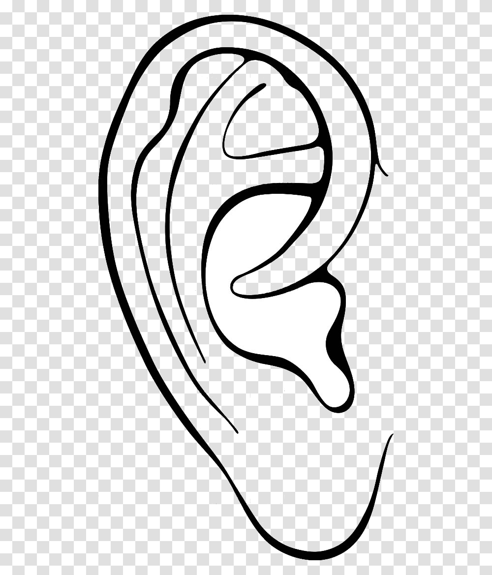 Ear Ears Clipart Outline Frames Illustrations Hd Images Colouring Pages Of Ear, Pattern, Animal, Floral Design Transparent Png
