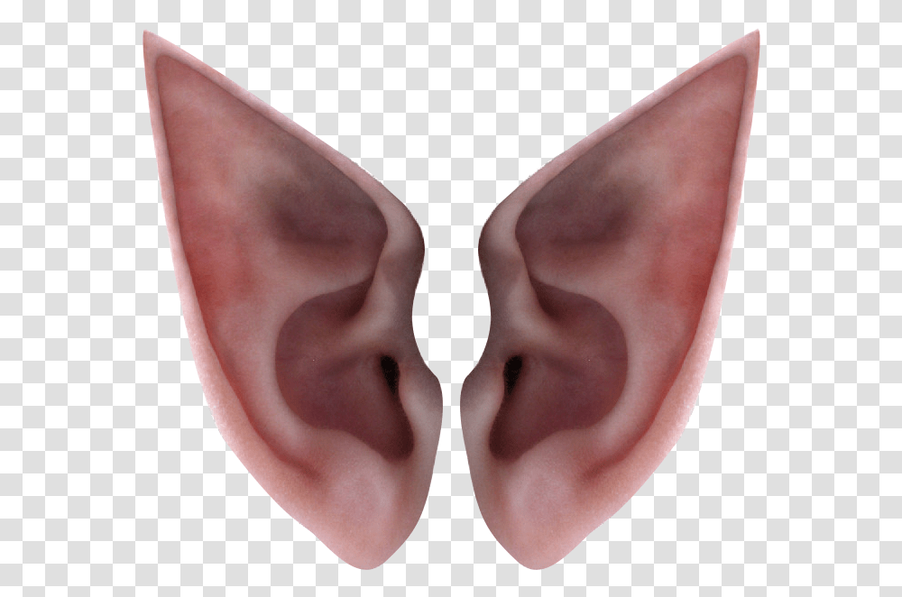 Ear Elf Icon Elf Ears, Person, Human, Accessories, Accessory Transparent Png