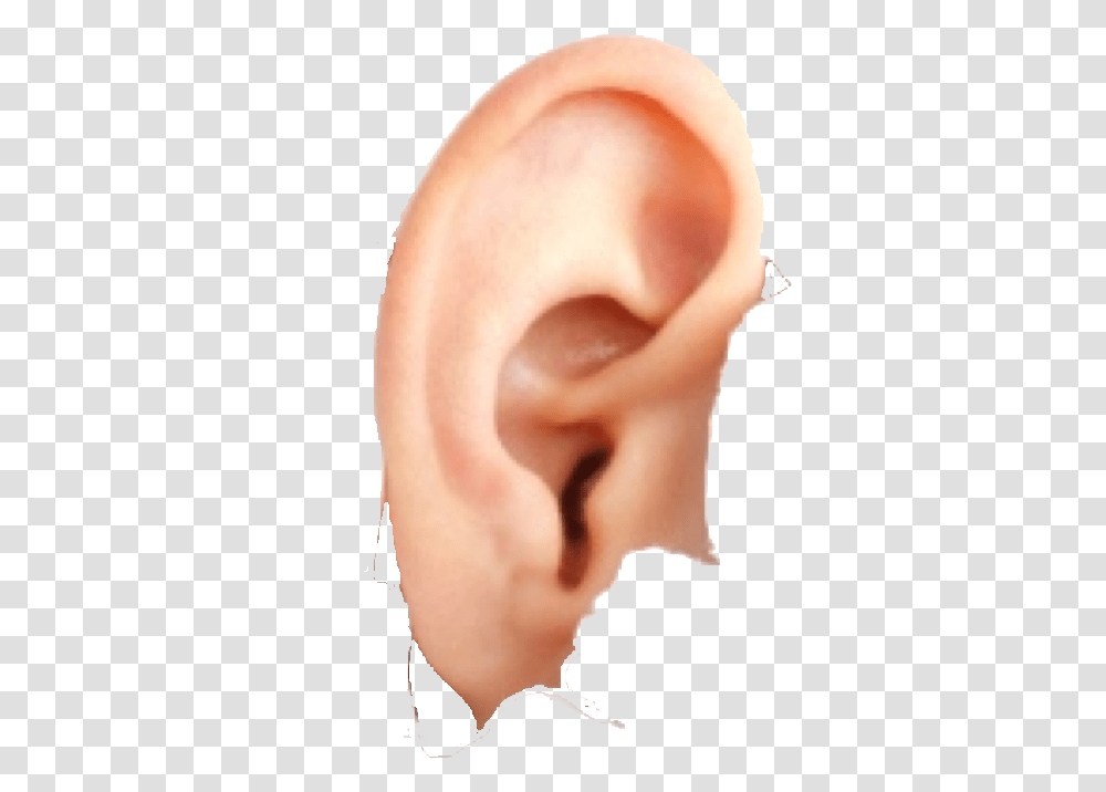 Ear Free Download Ear, Person, Human Transparent Png