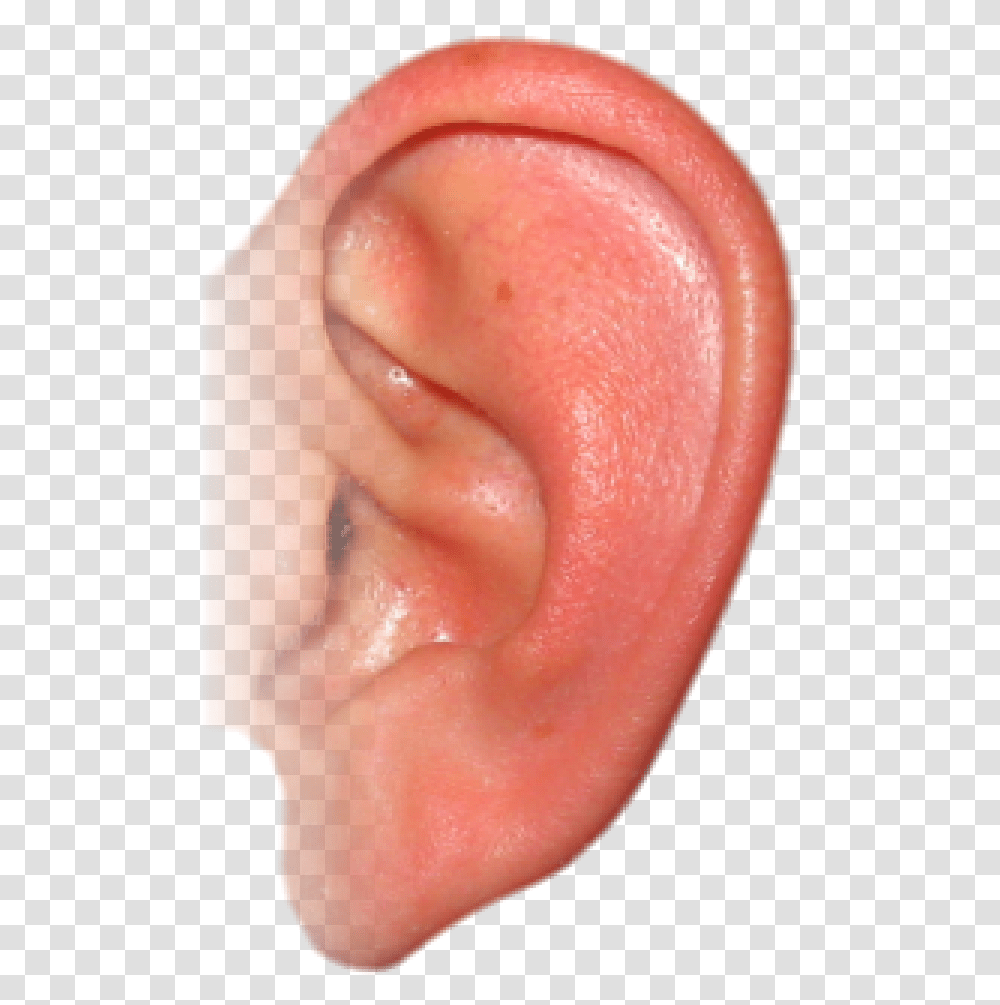 Ear Free Ear, Person, Human Transparent Png