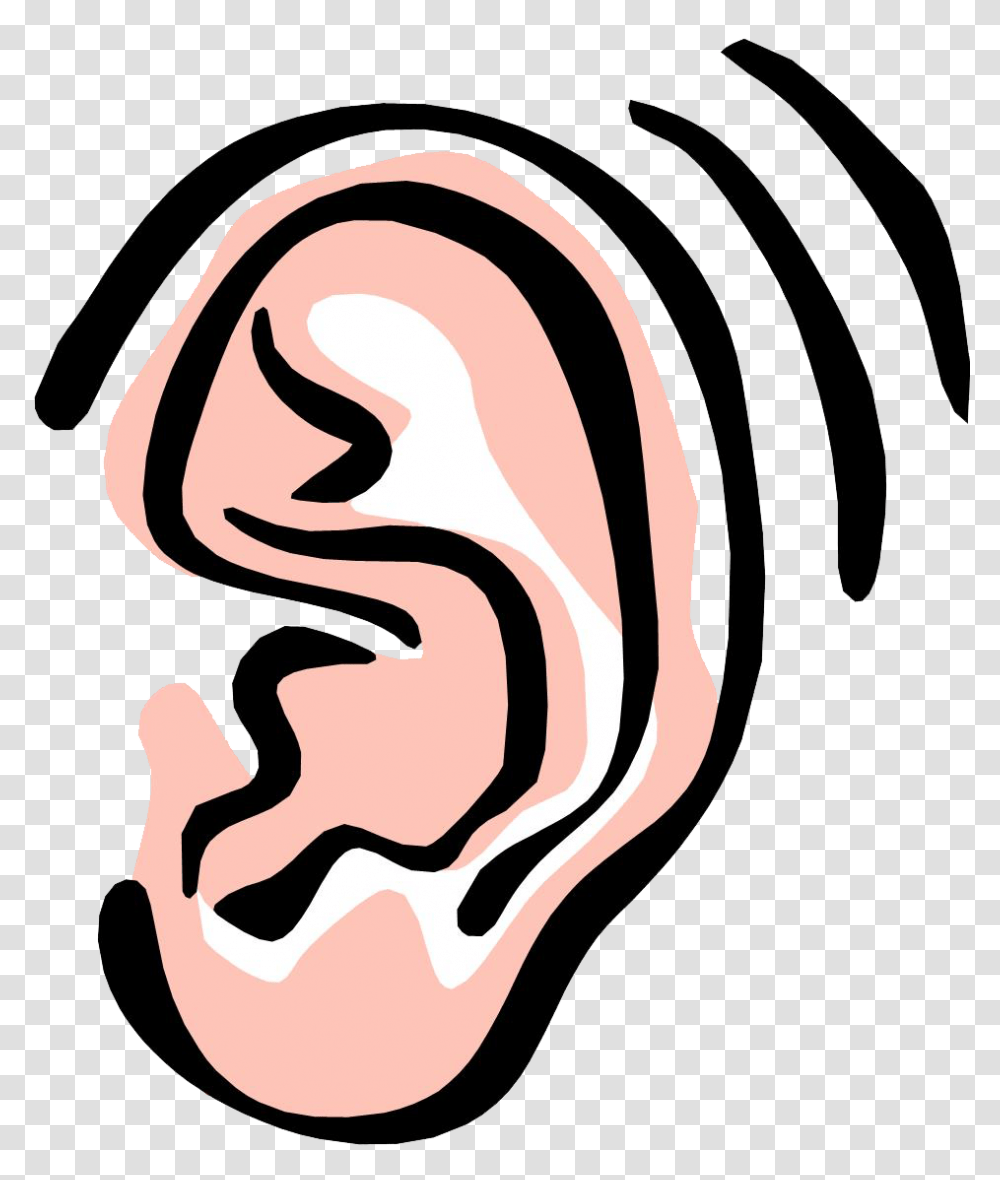 Ear Image Arts Transparent Png