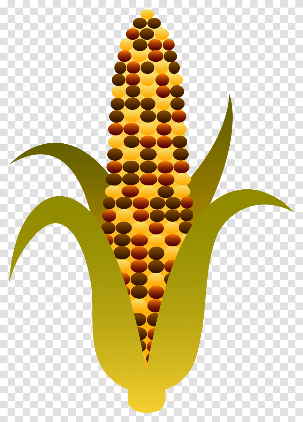 Ear Of Corn Clipart Free Image, Plant, Vegetable, Food Transparent Png