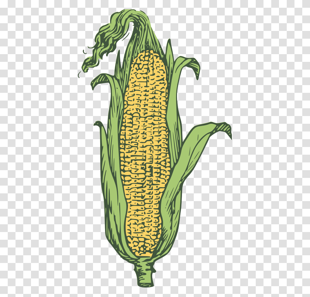 Ear Of Corn Grain As Big As A Hen's Egg, Plant, Vegetable, Food, Bird Transparent Png