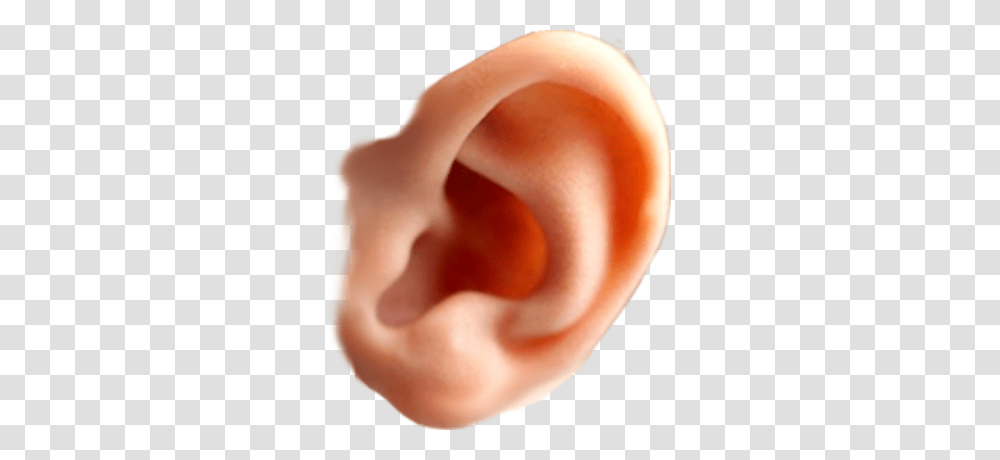 Ear, Person, Human, Cushion Transparent Png