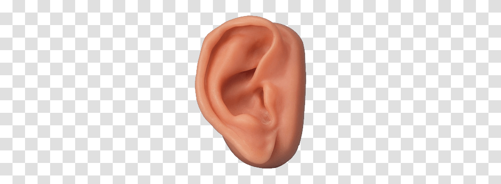 Ear, Person, Human Transparent Png