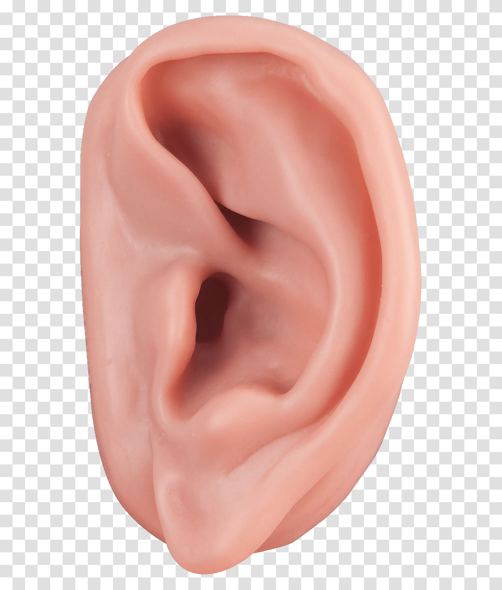 Ear, Person, Human Transparent Png