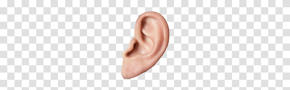 Ear, Person, Human Transparent Png