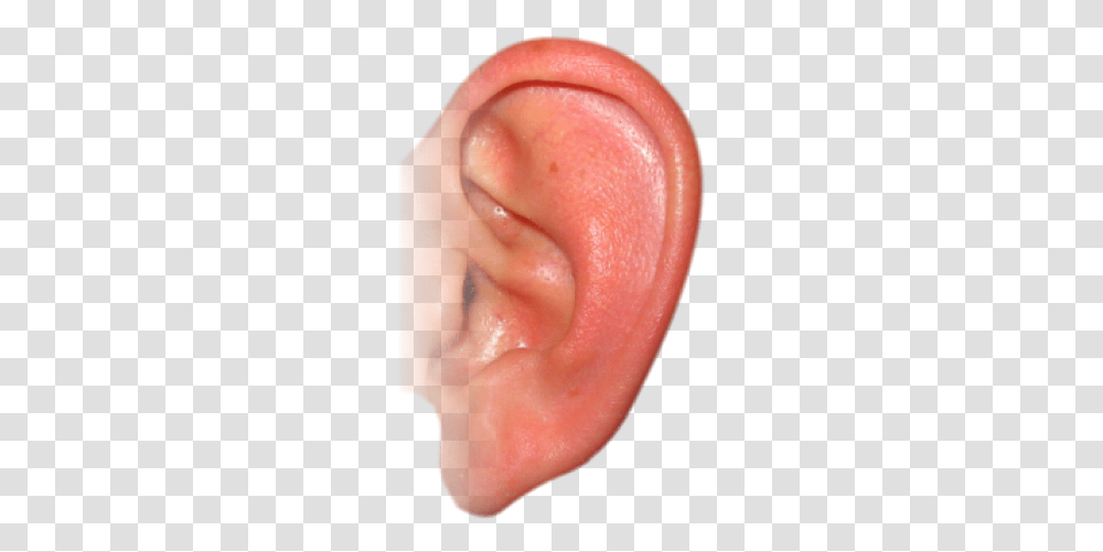 Ear, Person, Human Transparent Png