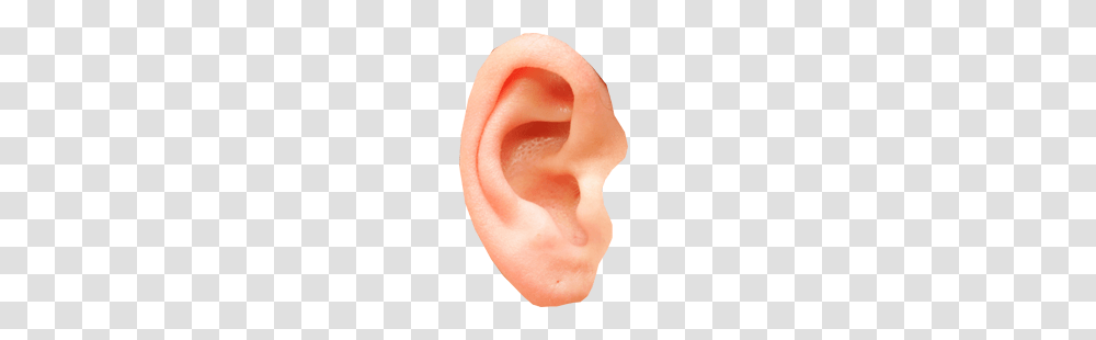 Ear, Person, Human Transparent Png