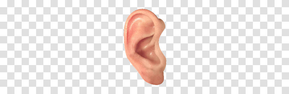 Ear, Person, Human Transparent Png