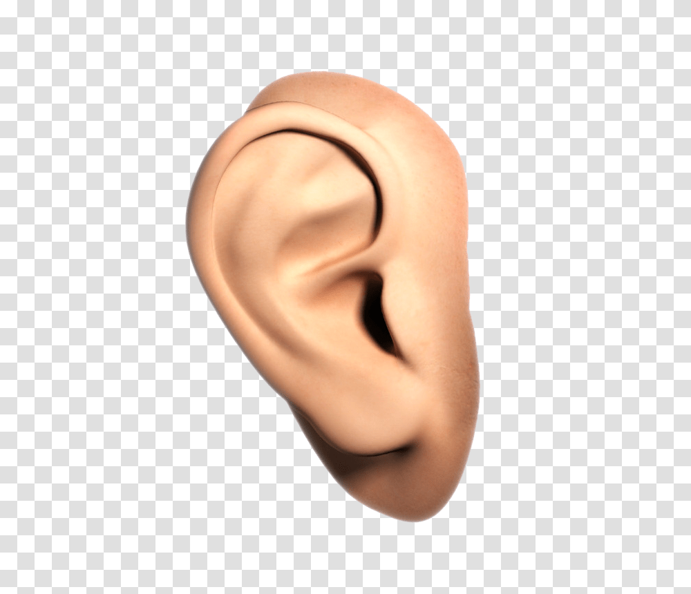 Ear, Person, Human Transparent Png