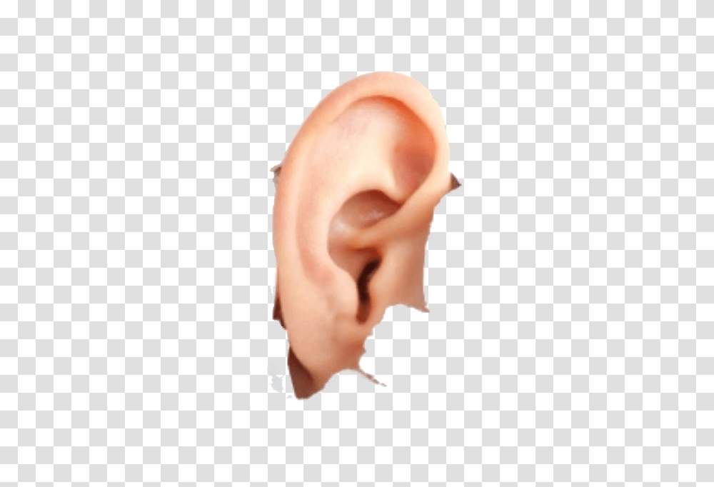 Ear, Person, Human Transparent Png