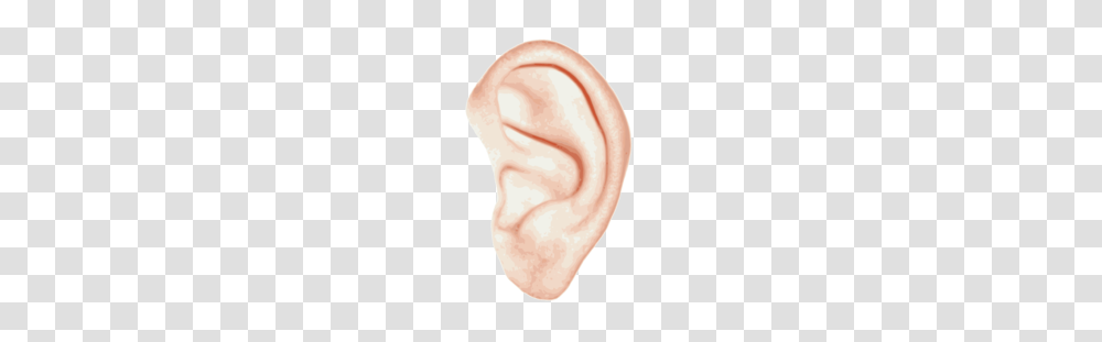 Ear, Person, Human Transparent Png