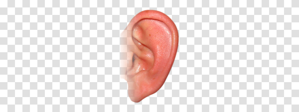 Ear, Person, Human Transparent Png