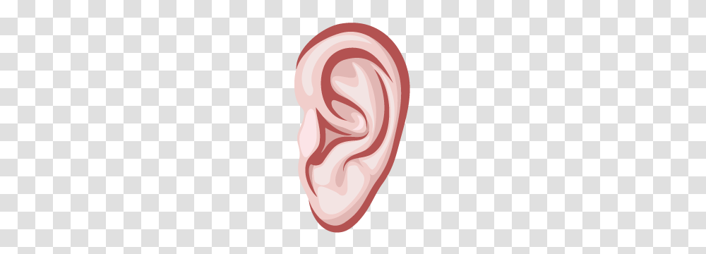 Ear, Person, Rug Transparent Png