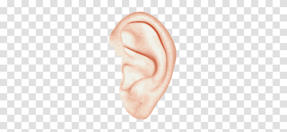 Ear, Person Transparent Png