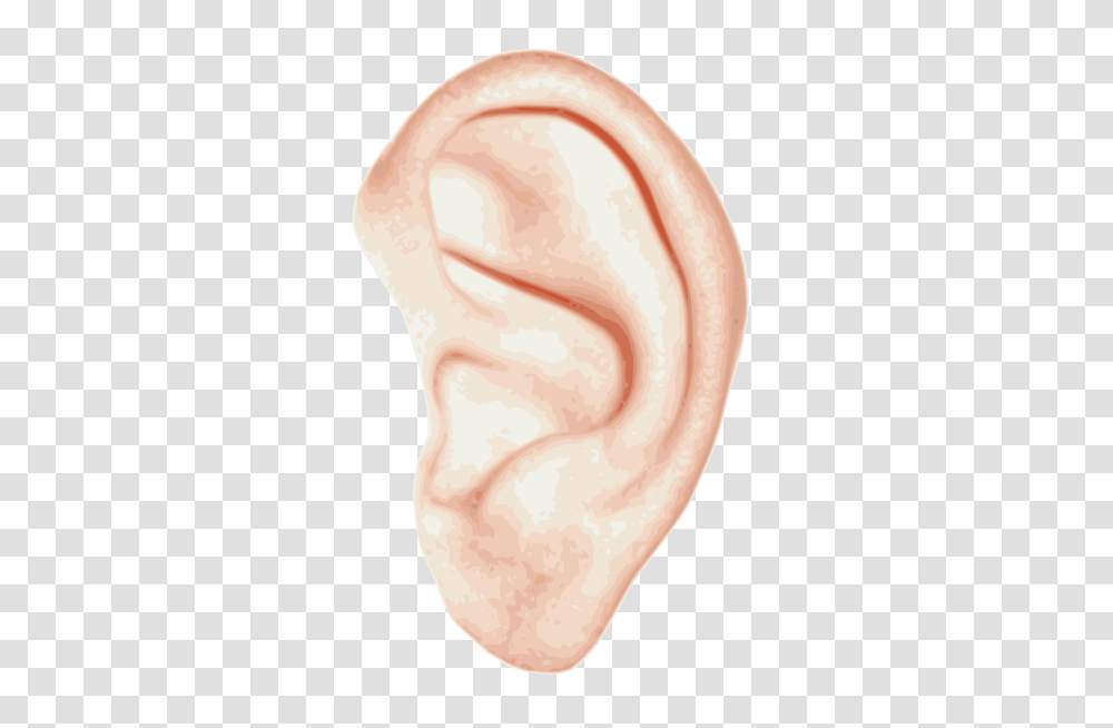 Ear, Person Transparent Png