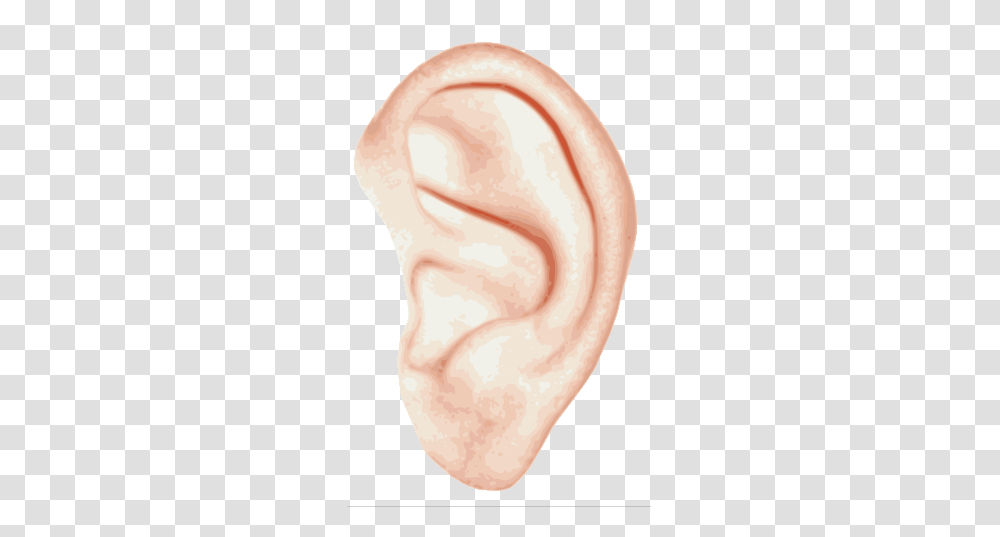 Ear, Person Transparent Png