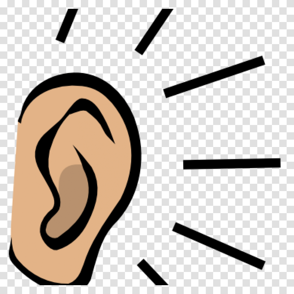 Ear Picture Stock Huge Freebie Download For Powerpoint Transparent Png