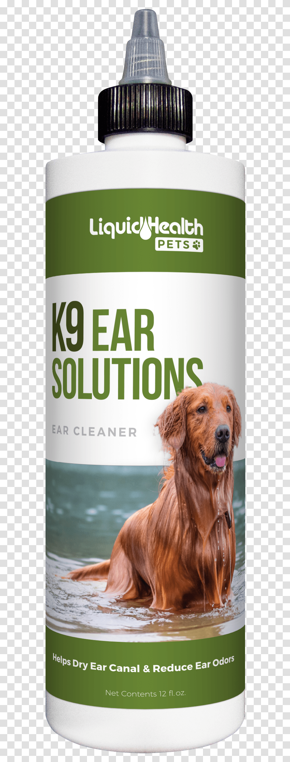 Ear Solutions Motion, Dog, Pet, Canine, Animal Transparent Png