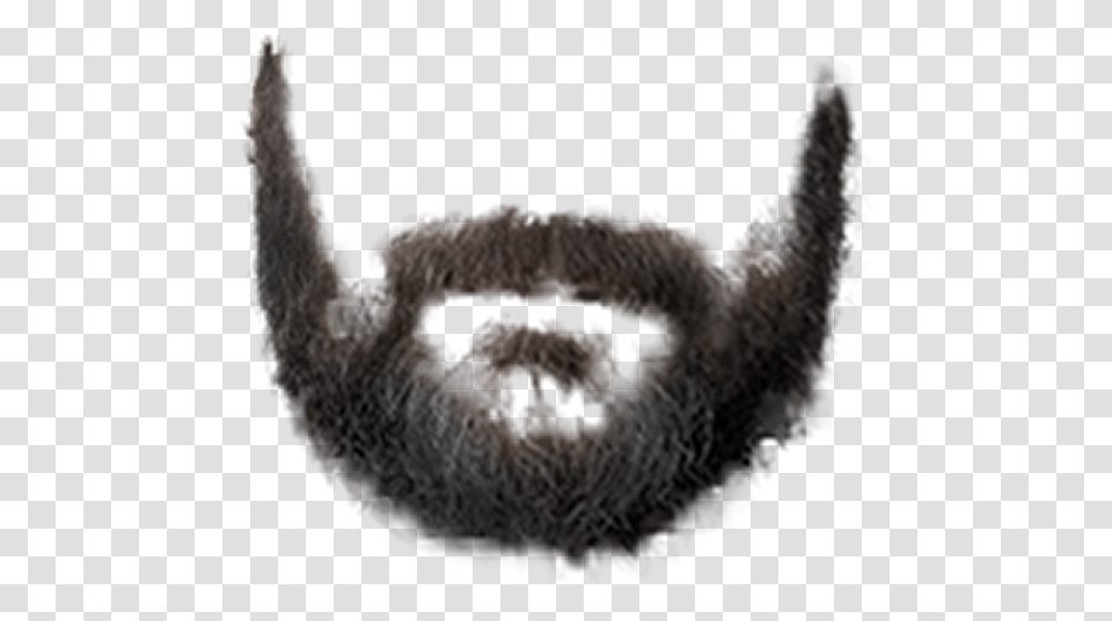 Eard Beard Styles For Photoshop Picsart Best Black Beard, Fungus, Animal, Dinosaur, Mouth Transparent Png