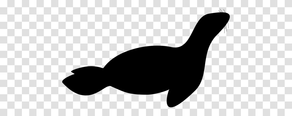 Earless Seal Harp Seal Drawing Sea Lion Download, Gray, World Of Warcraft Transparent Png