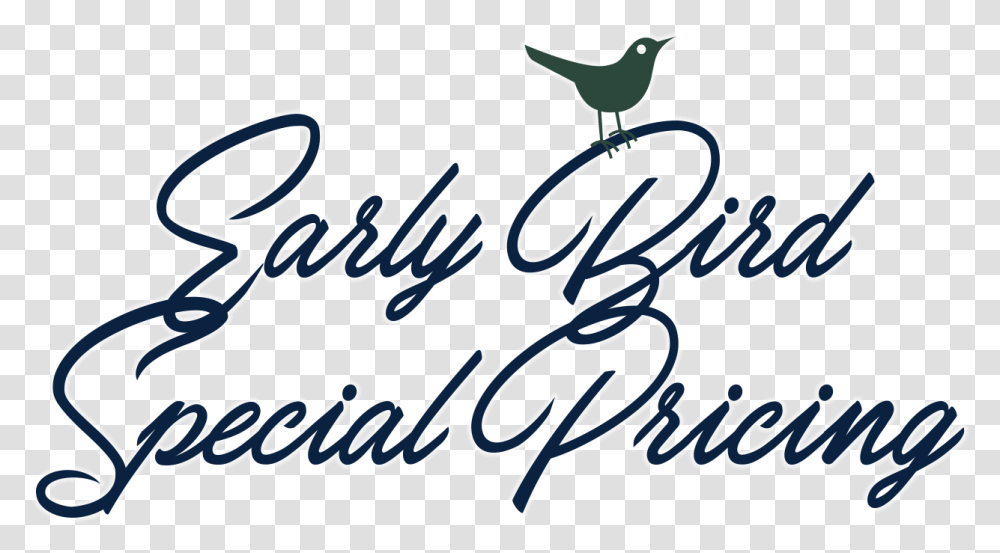 Early Bird, Handwriting, Calligraphy, Dynamite Transparent Png