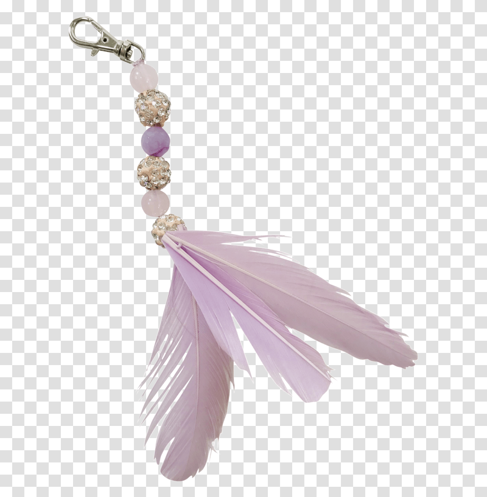 Earrings, Accessories, Accessory, Bird, Animal Transparent Png