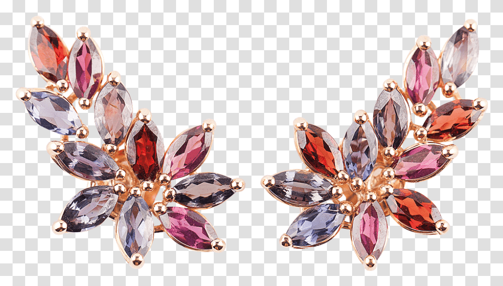 Earrings, Accessories, Accessory, Jewelry, Bird Transparent Png
